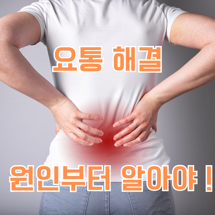 요통 발병 대표적인 원인 6가지와 예방법