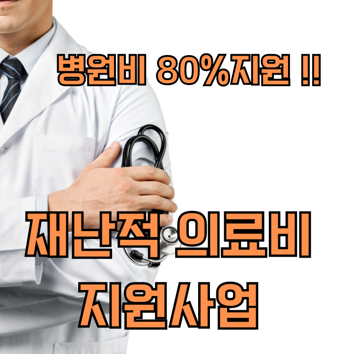 재난적 의료비 지원사업