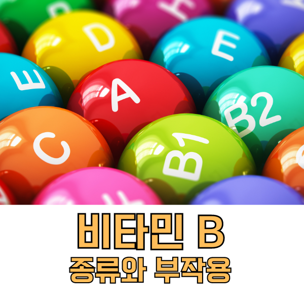 비타민B 