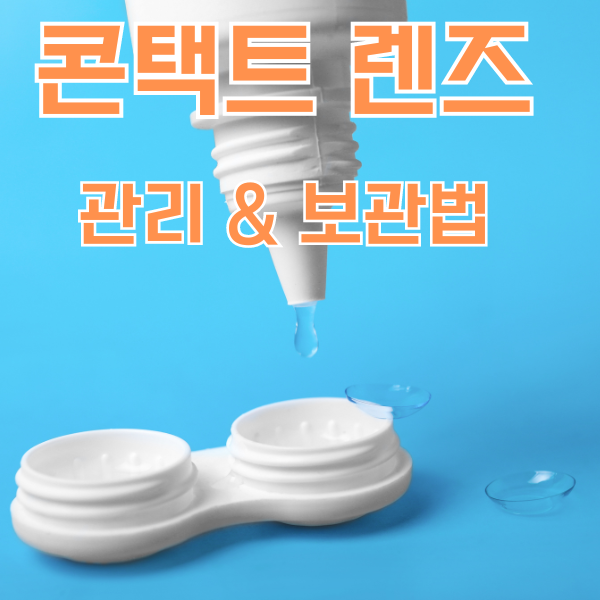 콘택트 렌즈